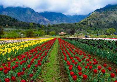 Srinagar-Kashmir 6 Days Tour Package